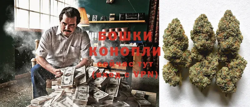 Бошки Шишки Ganja  Вельск 